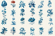 Vintage Botanica Clipart Set, an Illustration by DreamCafeArt (Thumbnail 2 of 6)
