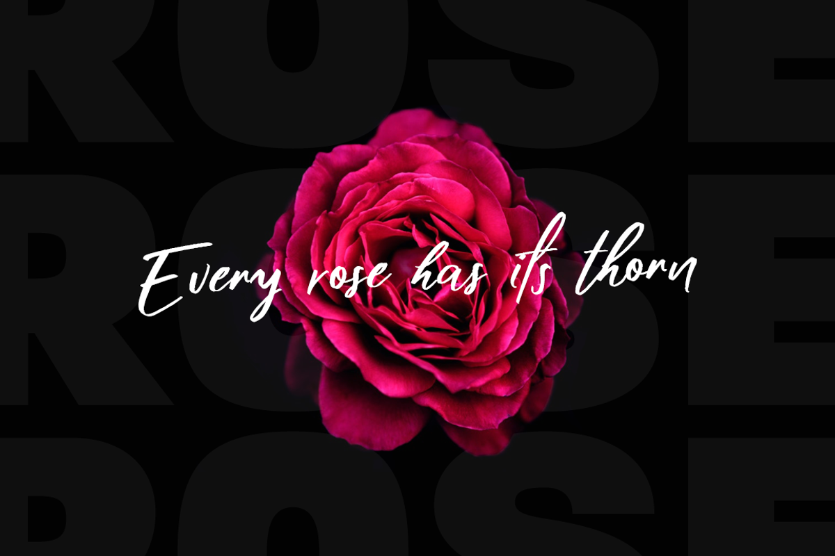 Shadow Boxing Font Duo, a Sans Serif Font by Hindia Studio (Photo 3 of 8)