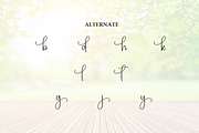 Someday | Script Font, a Handwritten Font by Scratchones (Thumbnail 8 of 9)