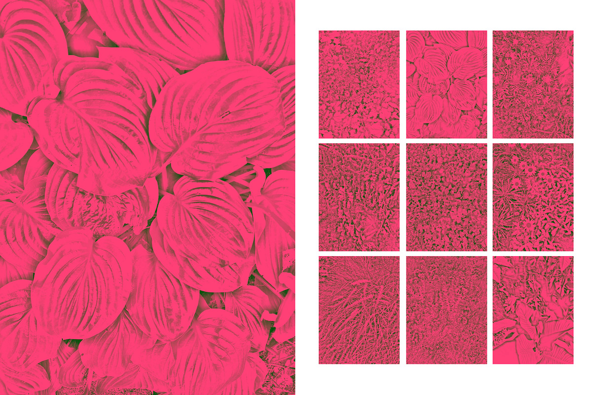 Duotone Foliage, a Texture Graphic by maggiereuter (Photo 3 of 6)