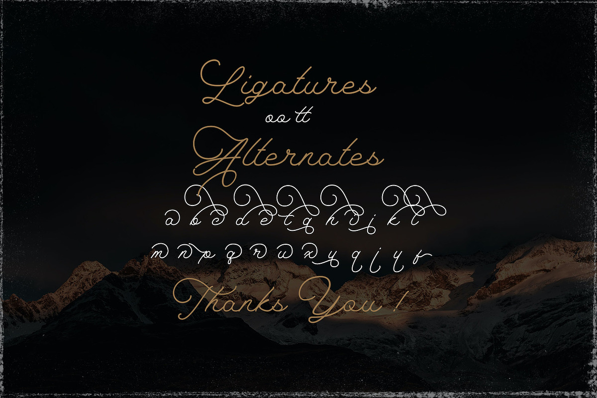 The Saily - Monoline Script Font, a Script Font by StringLabs (Photo 9 of 10)