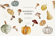 Fall & Winter Woodland Animals set, an Animal Illustration by Grace Noboa Illustrations (Thumbnail 13 of 17)