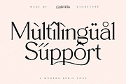 Qafientola A Modern Stylish Serif, a Serif Font by Storytype Studio (Thumbnail 12 of 15)