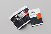 Annual Report Template, a Brochure Template by Spark_Creative (Thumbnail 2 of 12)