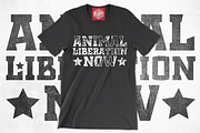 Chosla | sports style font family., a Sans Serif Font by RARY (Thumbnail 13 of 15)