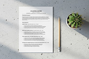 ATS Friendly Resume For Teacher, a Resume Template by SmmrDesign (Thumbnail 4 of 8)