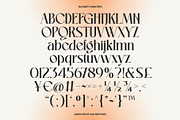 Amethyste Modern Stylish Serif Font, a Serif Font by Heinzel Std (Thumbnail 12 of 15)