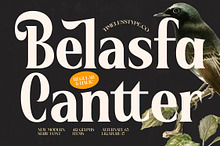 Belasfa Cantter Modern Serif Font