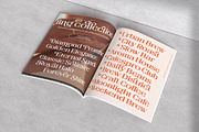 The Daily Midtones Decorative Serif, a Serif Font by AmorfaType (Thumbnail 7 of 8)