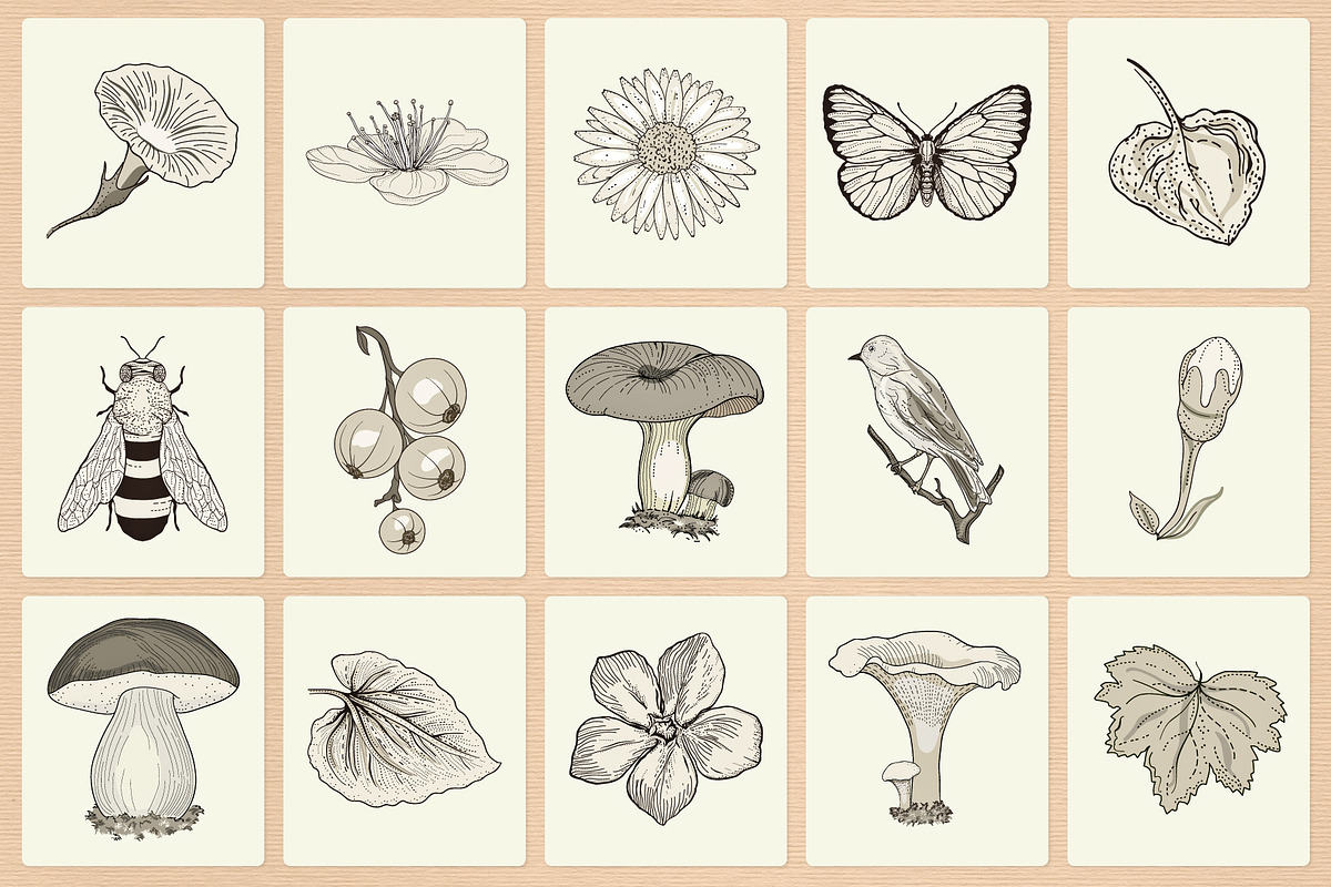 Enchanted Garden Collection, an Illustration by YvY (Photo 4 of 7)