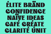 Lucentia - Modern Bold Display, a Sans Serif Font by Lettertype Studio (Thumbnail 9 of 16)