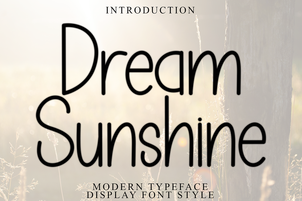 Dream Sunshine, a Serif Font by FreshTypeINK (Photo 1 of 8)