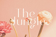 Indigo | San Serif Display Font, a Sans Serif Font by Monterey Studio (Thumbnail 2 of 6)