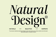 Noefire Font, a Serif Font by Marvadesign (Thumbnail 3 of 8)