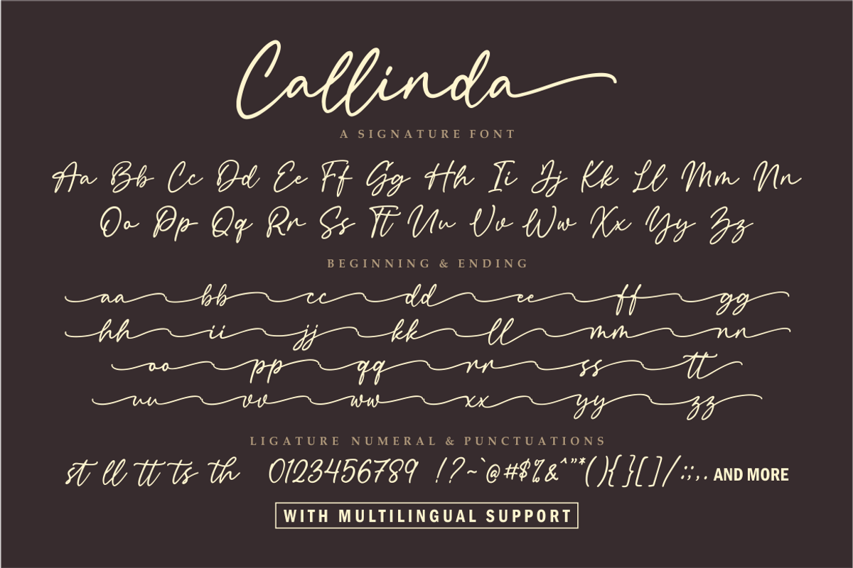 Callinda a Signature Font, a Script Font by Vilogsign (Photo 7 of 8)