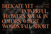Pelogent Elegant Serif Font, a Serif Font by Graphicxell (Thumbnail 6 of 8)