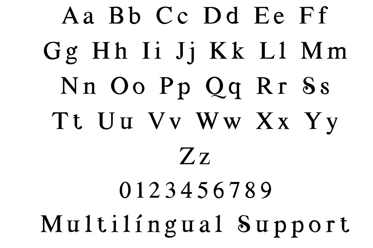 Quesadilla- modern serif, a Serif Font by Sk designs (Photo 8 of 9)