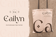 Clover - Modern Serif Logo Font, a Serif Font by Sensatype (Thumbnail 3 of 12)