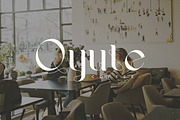Gofagen | Modern Serif Typeface, a Serif Font by Kahade Studio (Thumbnail 2 of 9)