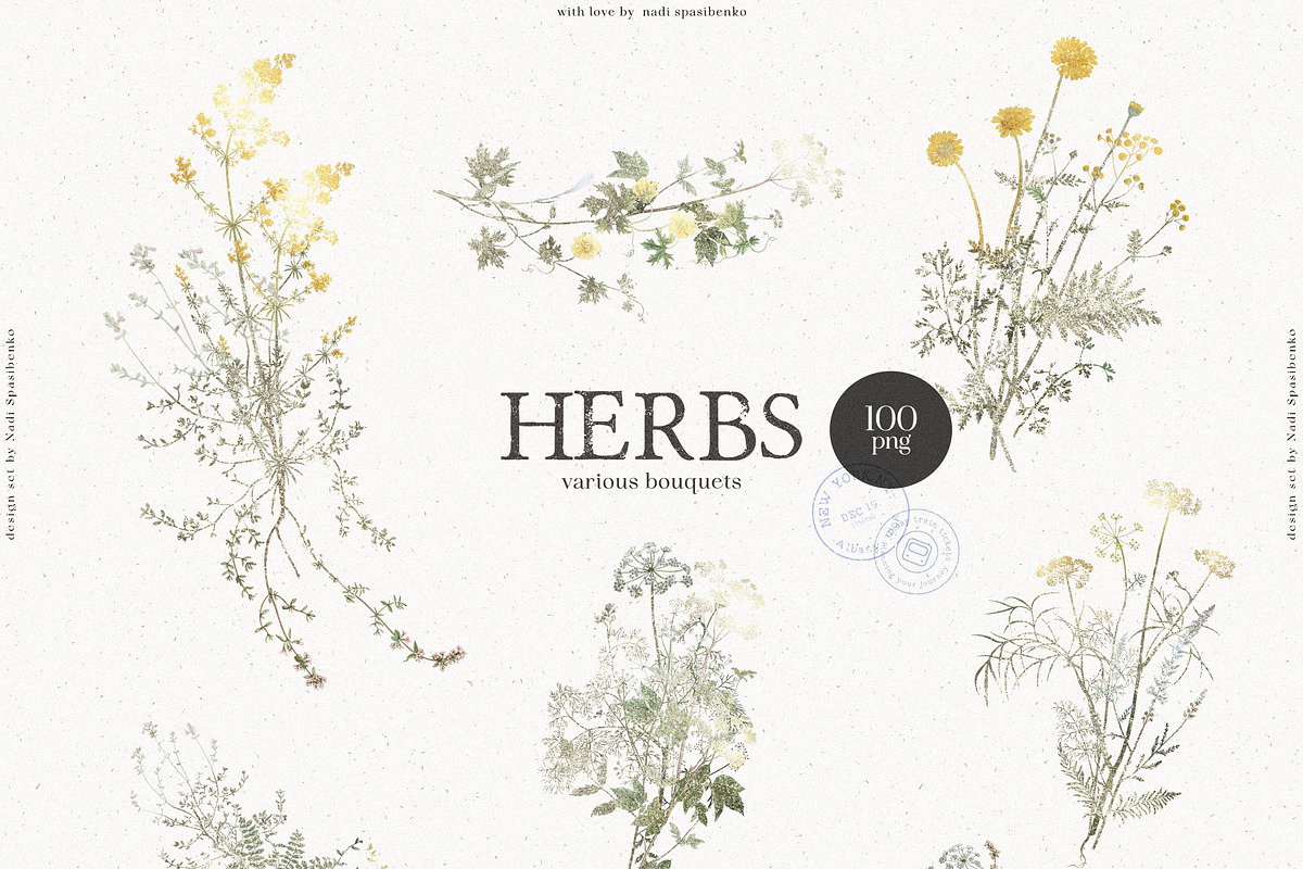 HERBS || Botanica & Glitter Effect, an Illustration by nadispasibenko (Photo 5 of 8)