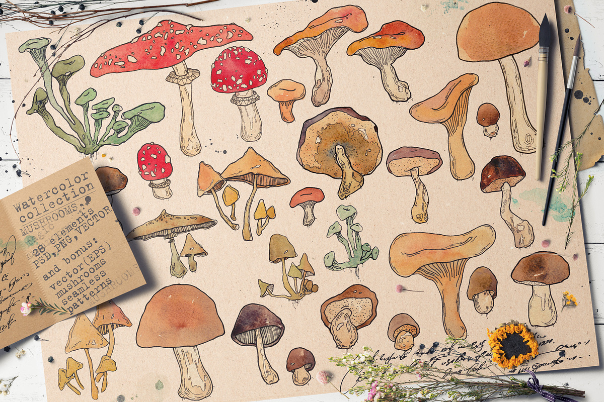 WATERCOLOR MUSHROOMS SET. vol1., an Animal Illustration by Krapio (Photo 1 of 4)