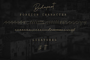 The Playful Font Bundle, a Script Font by Digital Hustler (Thumbnail 7 of 37)
