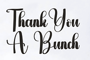 Aster Magnolia, a Handwritten Font by InermediaSTUDIO (Thumbnail 8 of 8)
