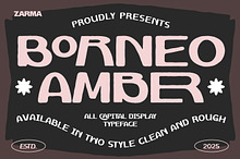 Borneo Amber - Modern Vintage Font