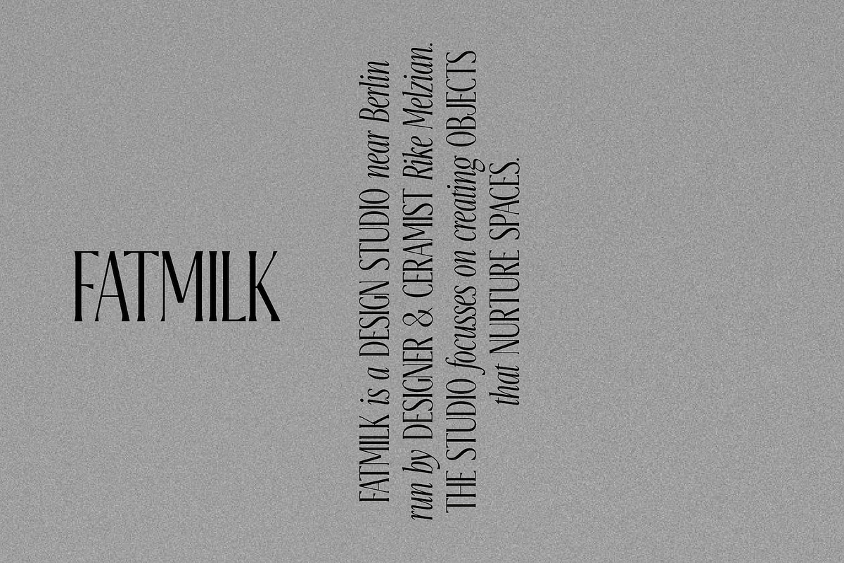 Keizer – Modern & Condensed Serif, a Serif Font by Local Desk Designstudio (Photo 10 of 23)