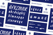MN Havenhill - Handwritten Script, a Script Font by Mantra Naga (Thumbnail 9 of 15)