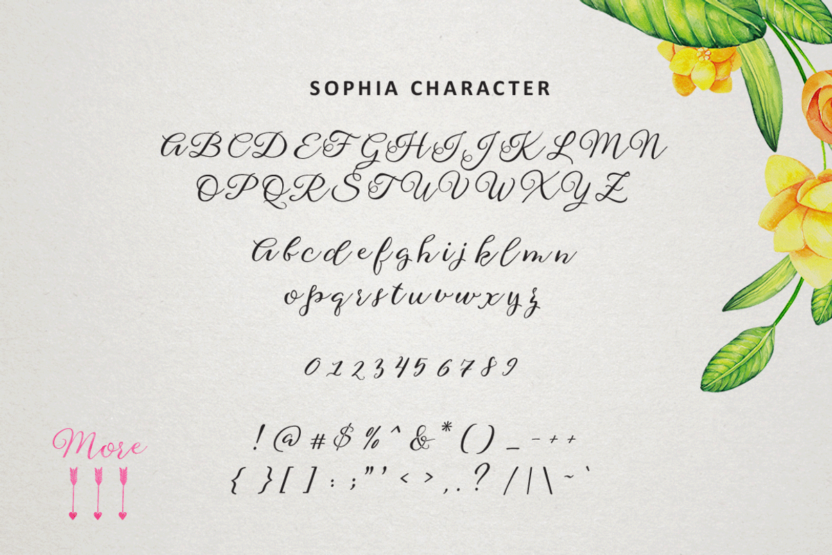 Sophia Script (Intro 30% Off) preview 2