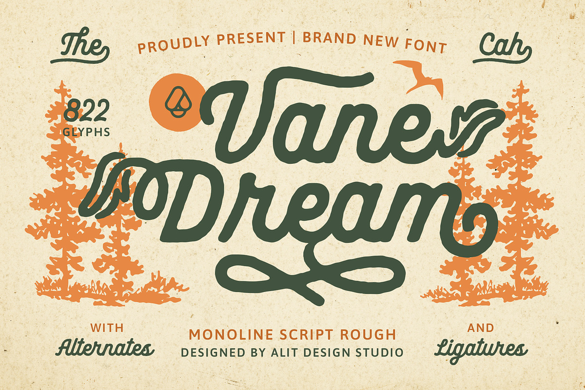 Vane Dream Typeface, a Script Font by alit design (Photo 1 of 15)