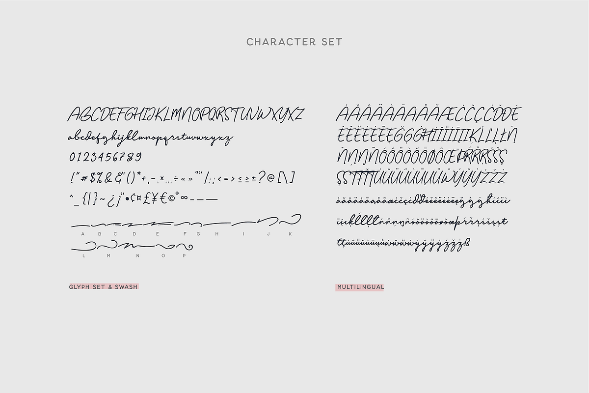 Balig Script -Elegant Signature Font preview 8