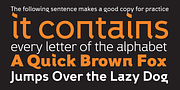 Fox Grotesque, a Sans Serif Font by TipografiaRamis (Thumbnail 4 of 9)