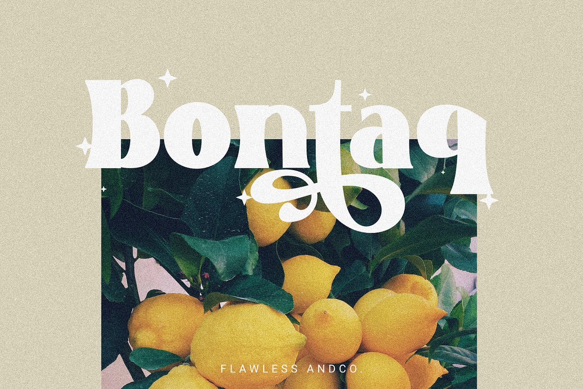 Boscho, a Symbol Font by Flawless And Co (Photo 6 of 9)