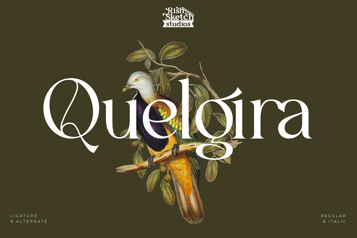 Quelgira - Serif Typeface Font, a Serif Font by Rishsketch (Photo 1 of 15)