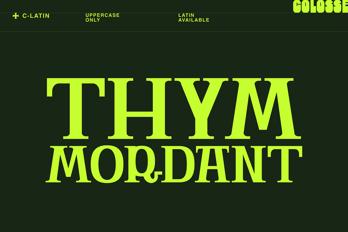 c-latin display type, a Serif Font by Colosse Foundry (Photo 4 of 7)
