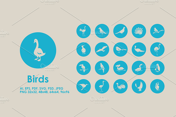 Birds Icons