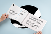 Steadfast Font, a Serif Font by Jadugar Design Studio (Thumbnail 2 of 10)