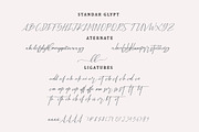 New Bethany Script, a Script Font by mightype (Thumbnail 8 of 8)