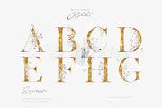Evergarden Alphabets&Graphics, a Texture Illustration by The Everlasting Story (Thumbnail 21 of 33)