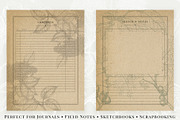 Vintage Leaf & Branch Illustrations, a Decorative Illustration by Century Library (Thumbnail 9 of 9)