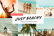Beach Lovers Preset, an Action Add-On by Persnickety Prints (Thumbnail 1 of 4)