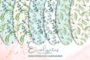 Watercolor Eucalyptus SET, a Decorative Illustration by TanataDesign (Thumbnail 6 of 16)