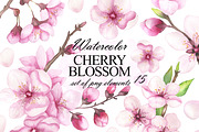 Cherry blossom watercolor clipart, an Illustration by OlDm_Shop (Thumbnail 1 of 6)