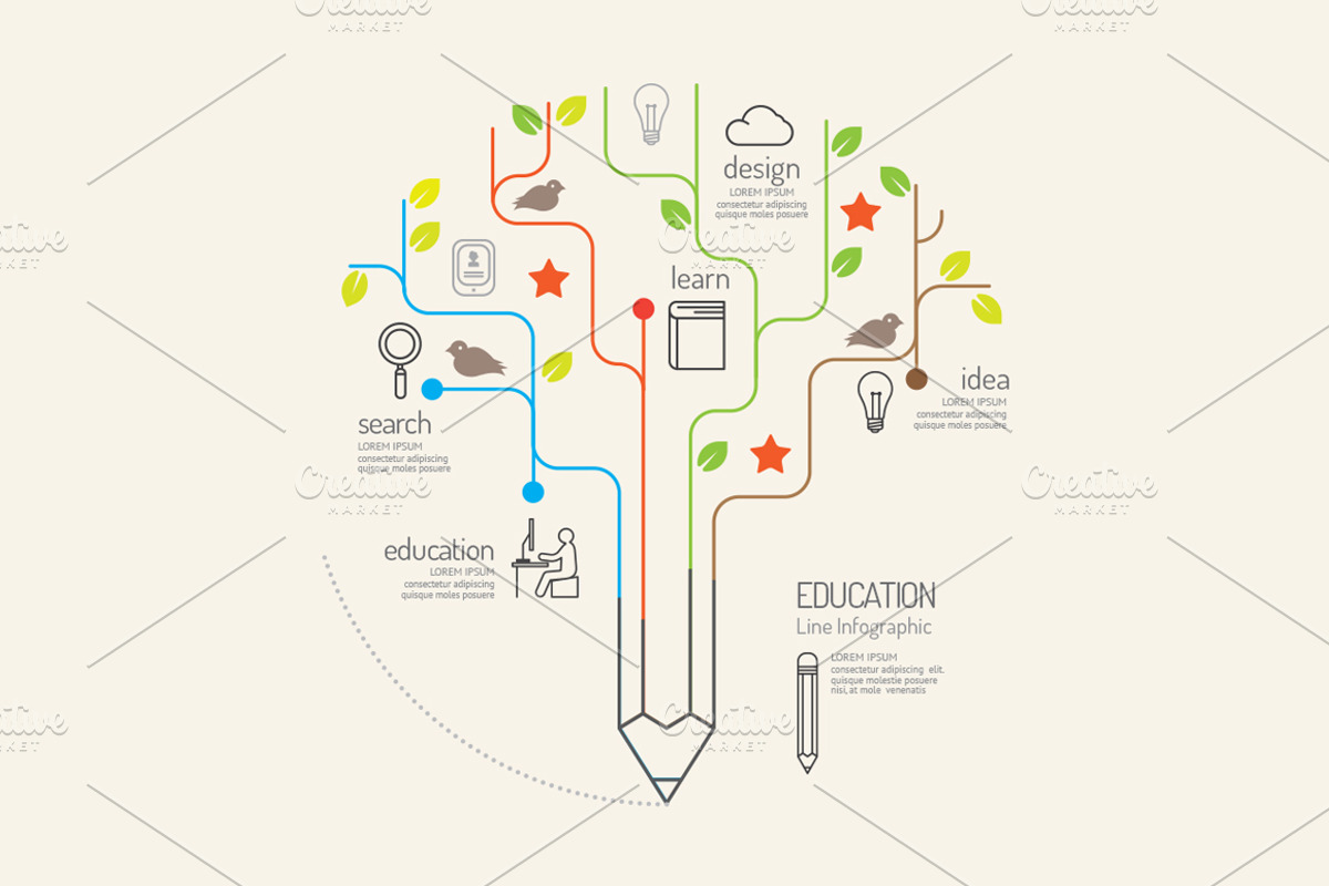 Flat linear Infographic Education, an Education Illustration by Feelplus Creator