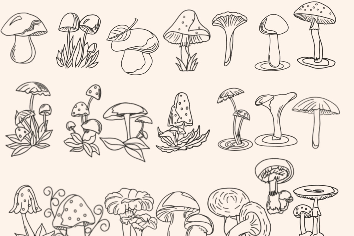 Mushrooms Digital Stamps, a Graphic by Favorites_Art (Photo 9 of 15)