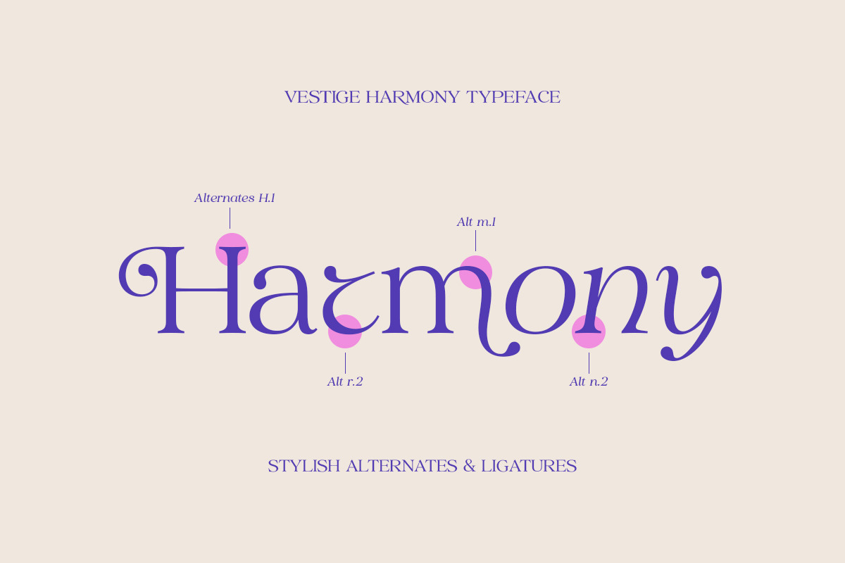 Vestige Harmony, a Serif Font by Attract Studio (Photo 5 of 14)