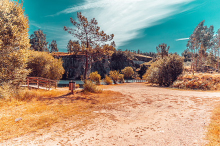 Infrared photo of a landscape with ground, trees and sky, a Holiday Photo by rubenchase