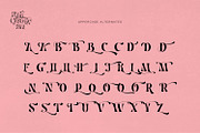 Pink Crestelle Font on Sale, a Slab Serif Font by creativemedialab (Thumbnail 12 of 17)
